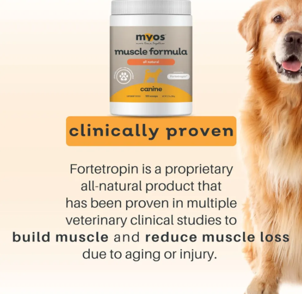 MYOS Canine Muscle Formula Dog Supplement