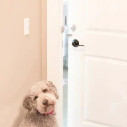 Mypet Safety Door Paw-tector For Dogs & Cats (1 pk)