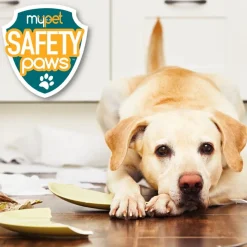 MyPet Safety Paws Mischief Minder Strap Locks for Dogs & Cats(2 pk)