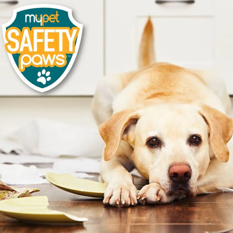 MyPet Safety Paws Mischief Minder Strap Locks for Dogs & Cats(2 pk)