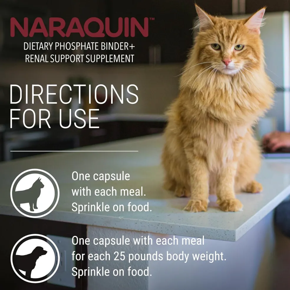 Naraquin Dietary Phosphate Binder+Renal Support (60 capsules)