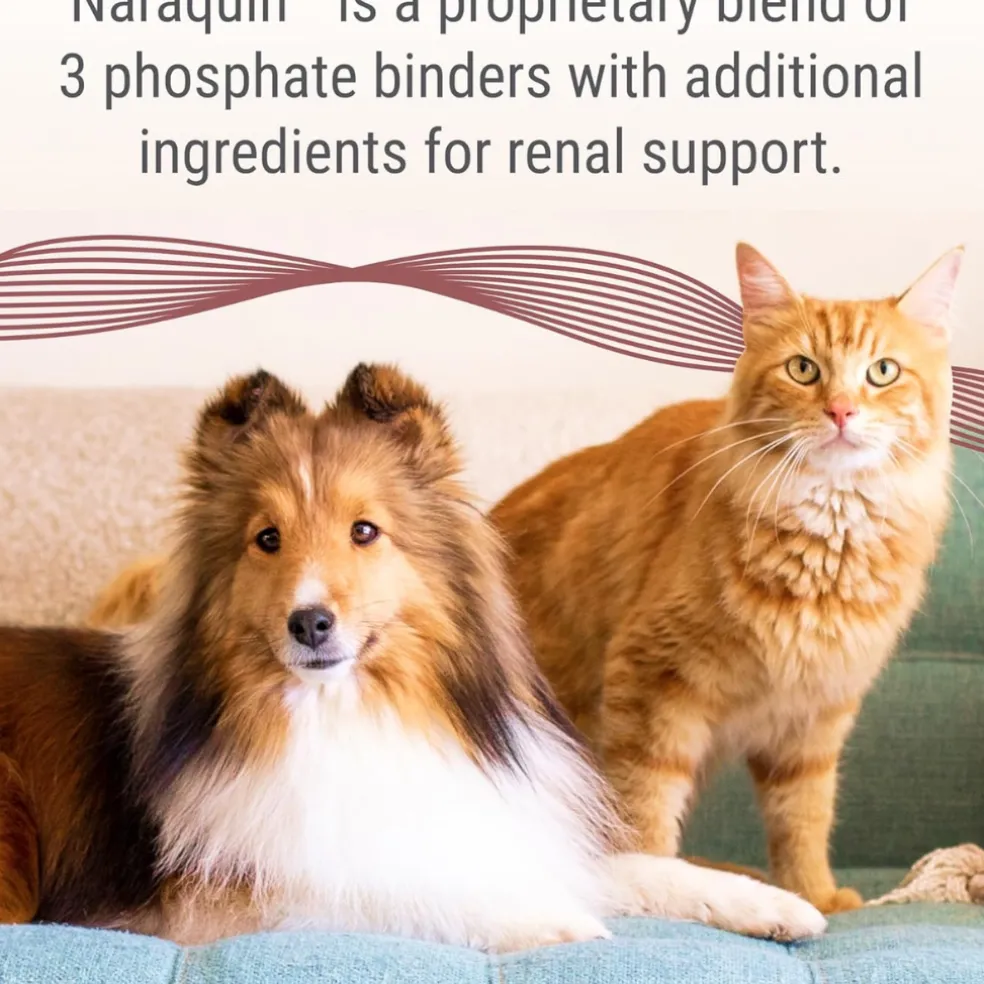 Naraquin Dietary Phosphate Binder+Renal Support (60 capsules)