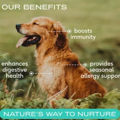 Native Pet Colostrum Immune System Powder Supplement For Dogs (2.2 oz)