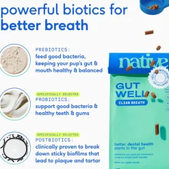 Native Pet Gutwell Clean Breath, Dental Care Supplement for Dogs (60 scoops)