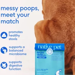 Native Pet Gutwell Power Poop, Digestion Support Supplement for Dogs (60 scoops)