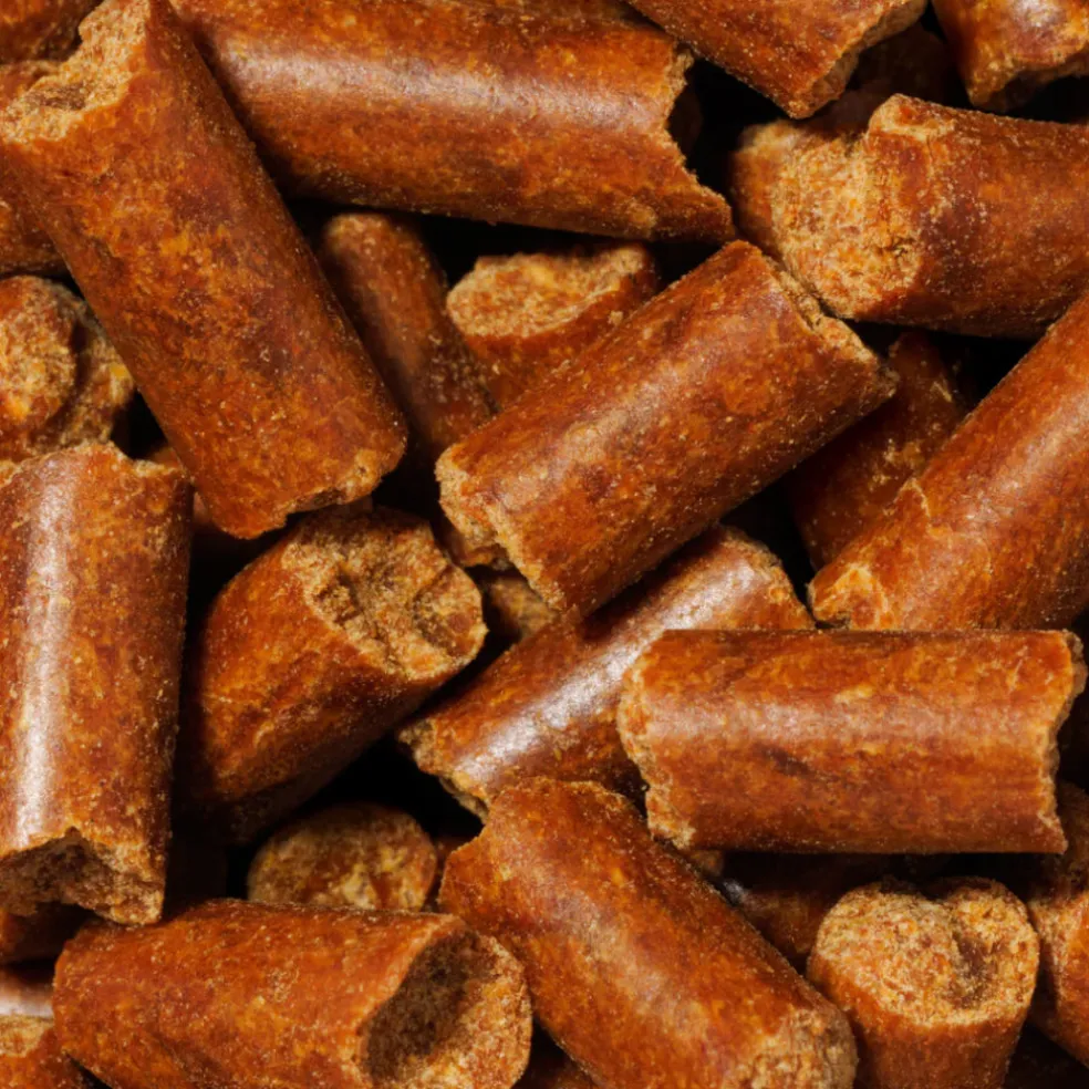 Native Pet Gutwell Power Poop, Digestion Support Supplement for Dogs (60 scoops)