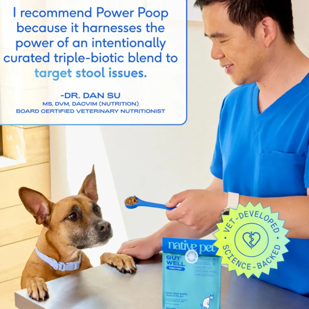 Native Pet Gutwell Power Poop, Digestion Support Supplement for Dogs (60 scoops)
