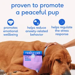 Native Pet Gutwell Stress Support, Stress Relief & Calming Supplement for Dogs (60 scoops)