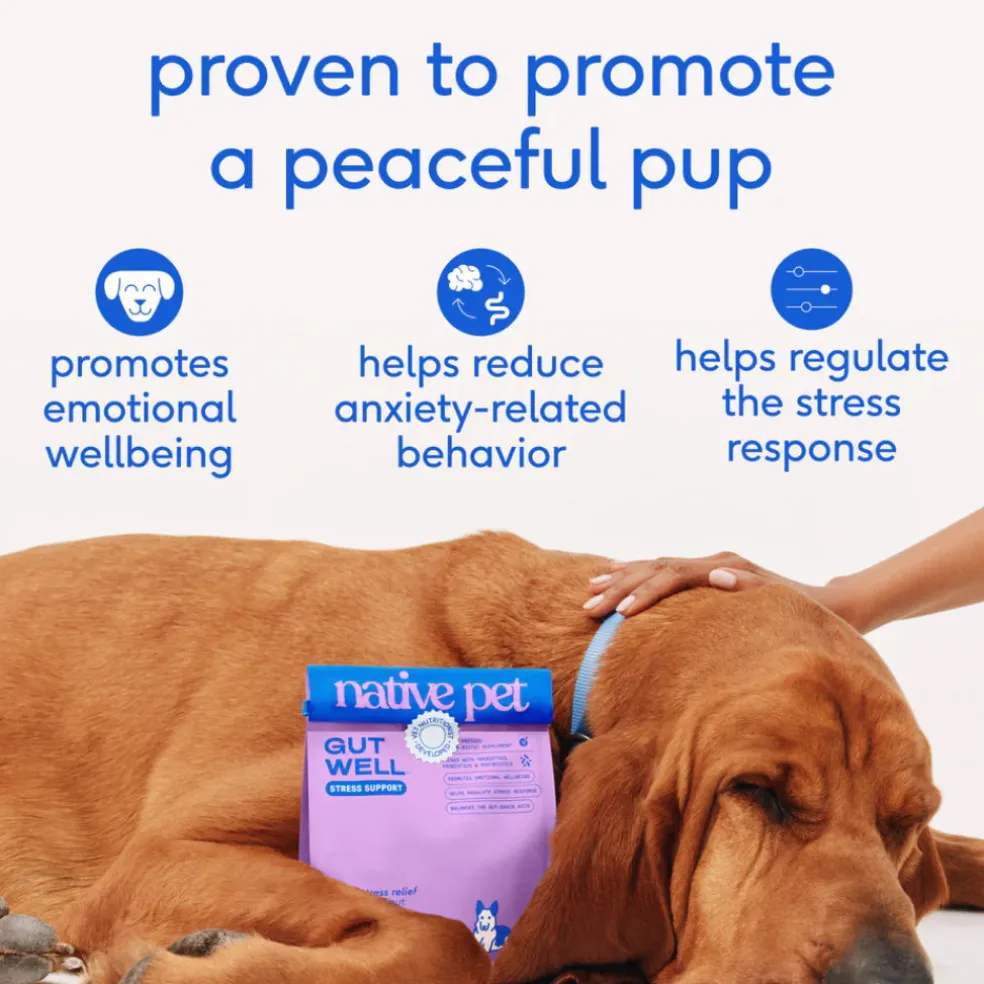 Native Pet Gutwell Stress Support, Stress Relief & Calming Supplement for Dogs (60 scoops)