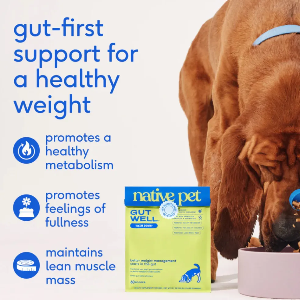 Native Pet Gutwell Trim Down, Weight Management & Metabolic Supplement for Dogs (60 scoops)