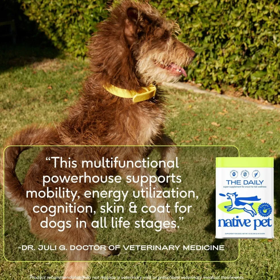 Native Pet The Daily Powder Supplement 11-in-1 Multivitamins for Dogs
