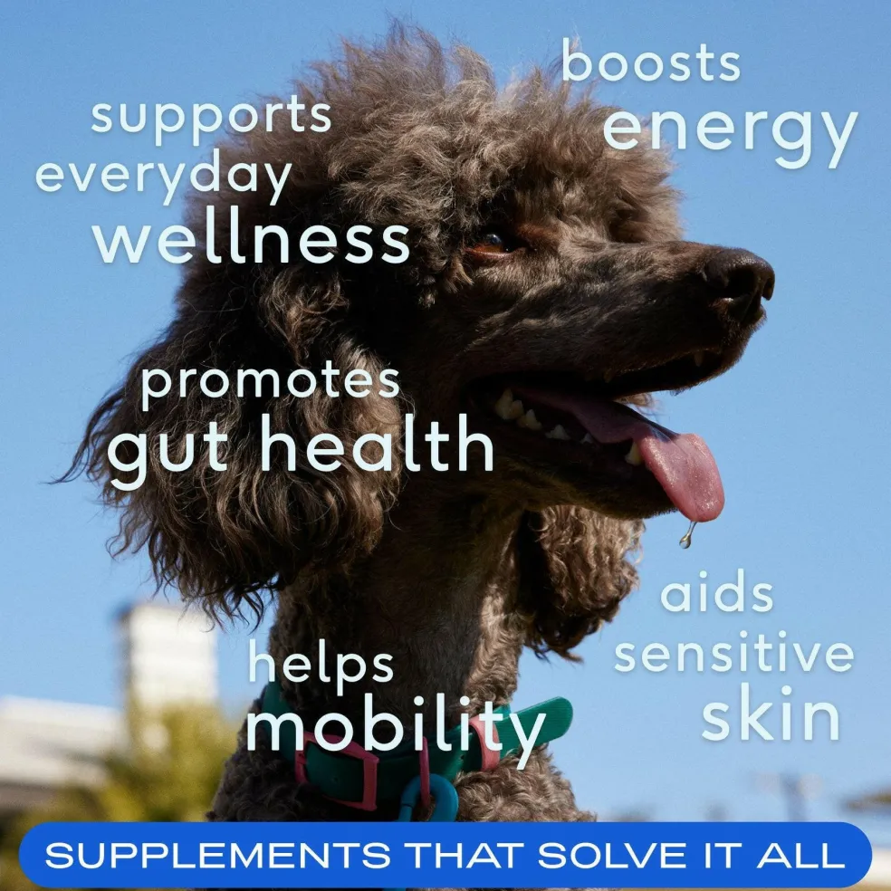 Native Pet The Daily Powder Supplement 11-in-1 Multivitamins for Dogs