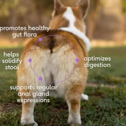 Native Pet Wondergland Anal Gland Support Supplement for Dogs