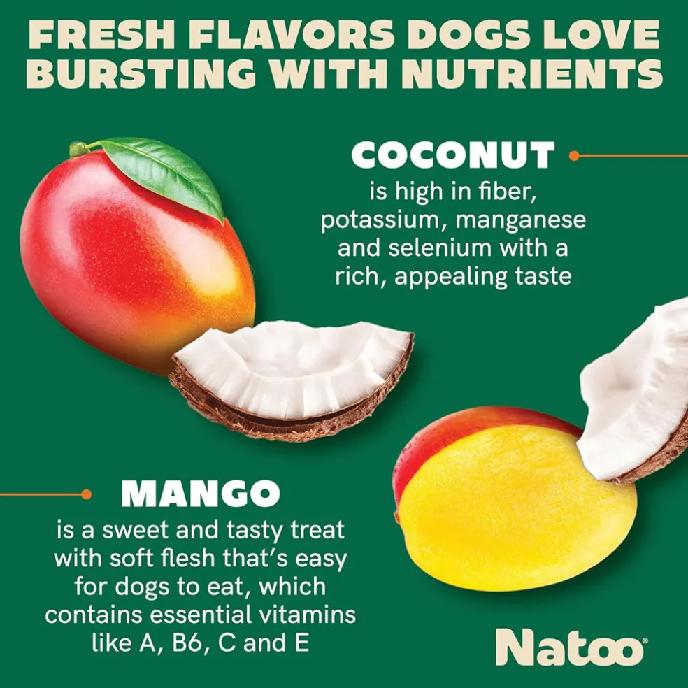 Natoo Crunchy Biscuits Big Bite Coconut & Mango Flavor Dog Treats, 8-oz