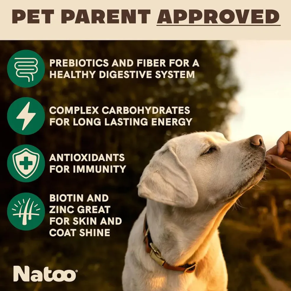 Natoo Crunchy Biscuits Coconut & Mango Flavor Dog Treats, 8-oz