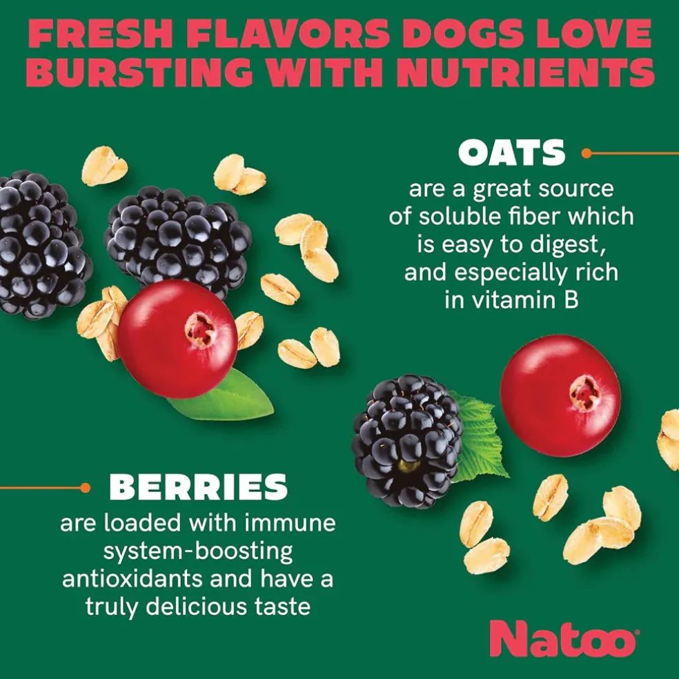Natoo Crunchy Biscuits Oats & Berries Flavor Dog Treats, 8-oz
