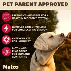 Natoo Crunchy Biscuits Oats & Berries Flavor Dog Treats, 8-oz