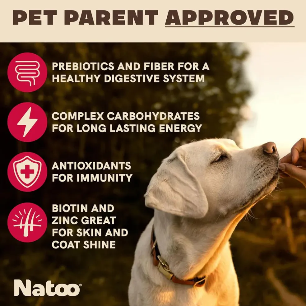 Natoo Crunchy Biscuits Oats & Berries Flavor Dog Treats, 8-oz