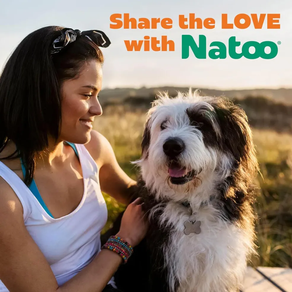 Natoo Crunchy Biscuits Oats & Berries Flavor Dog Treats, 8-oz
