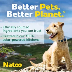 Natoo Crunchy Biscuits Oats & Berries Flavor Dog Treats, 8-oz