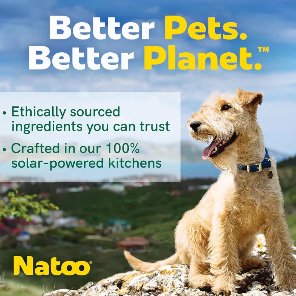 Natoo Crunchy Biscuits Oats & Berries Flavor Dog Treats, 8-oz