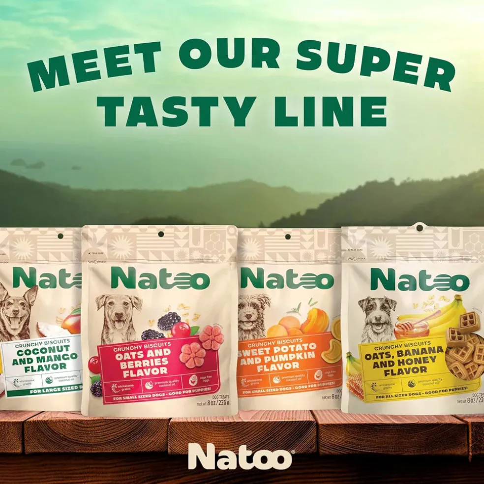 Natoo Crunchy Biscuits Oats & Berries Flavor Dog Treats, 8-oz