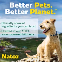Natoo Crunchy Biscuits Sweet Potato & Pumpkin Flavor Dog Treats, 8-oz