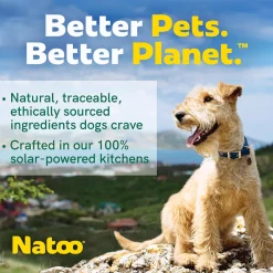 Natoo Meal Topper or Treat Chicken, Sweet Potato Broccoli in Broth Dog Food