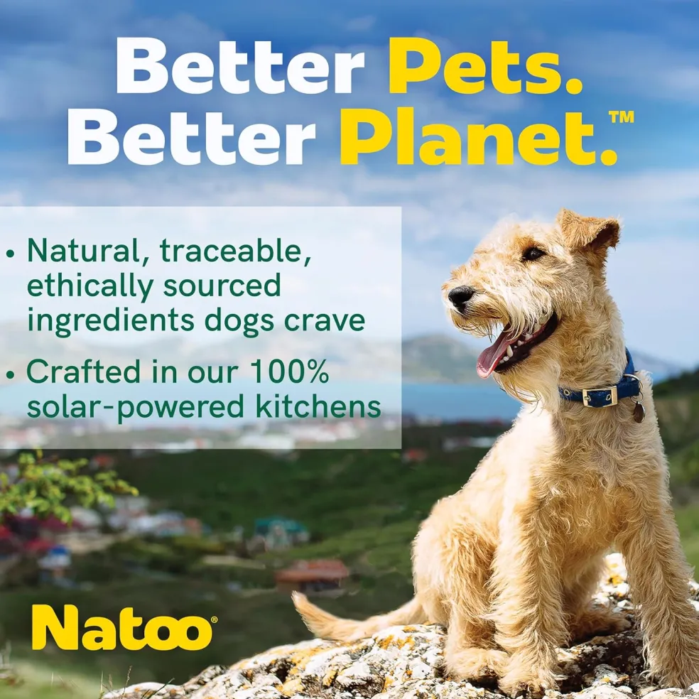 Natoo Meal Topper or Treat Chicken, Sweet Potato Broccoli in Broth Dog Food
