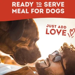 Natural Balance Pet Foods Original Ultra Platefulls Wet Dog Food Pouch Tender Beef & Potato Recipe, 9-oz case of 12