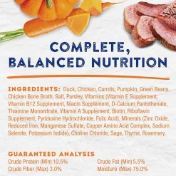 Natural Balance Pet Foods Original Ultra Platefulls Wet Dog Food Pouch Savory Duck & Pumpkin Recipe, 9-oz case of 12