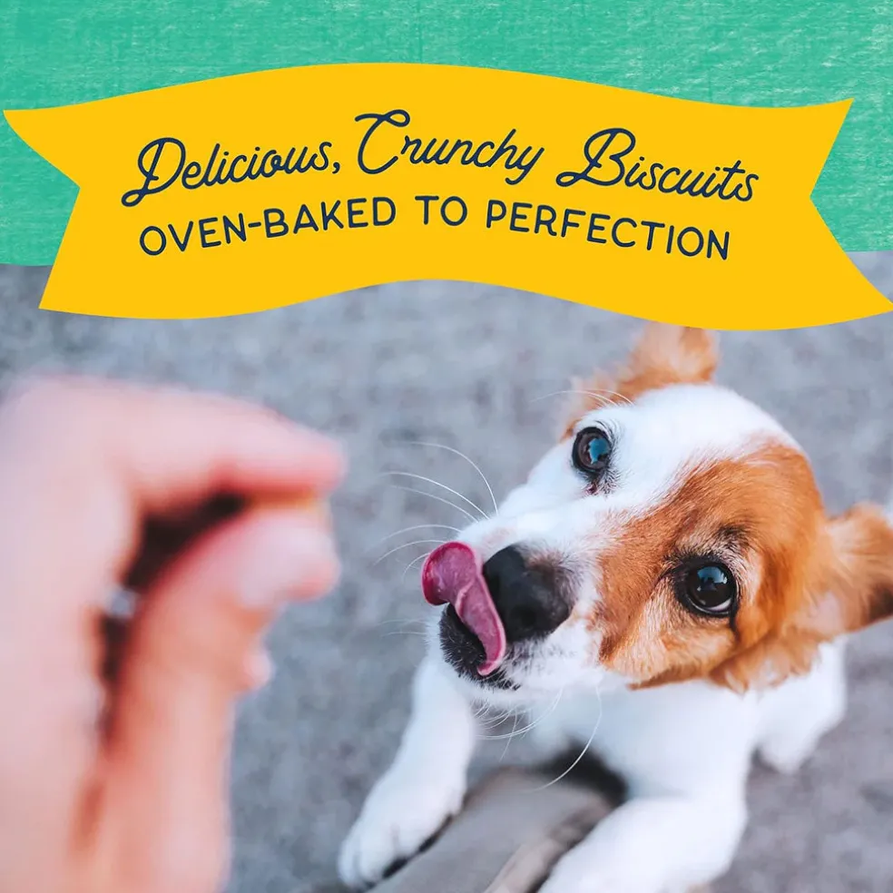 Natural Balance Pet Foods Rewards Bite-Size Crunchy Biscuits Small Breed Dog Treats Chicken, 8-oz