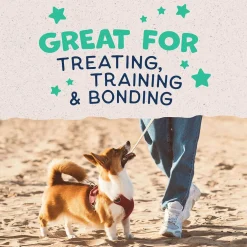 Natural Balance Pet Foods Rewards Bite-Size Crunchy Biscuits Small Breed Dog Treats Chicken, 8-oz