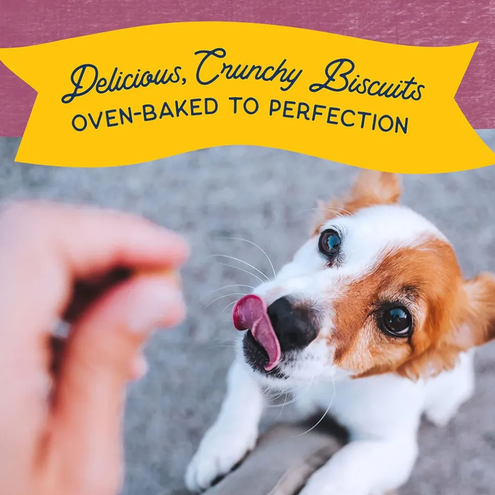 Natural Balance Pet Foods Rewards Bite-Size Crunchy Biscuits Small Breed Dog Treats Venison, 8-oz
