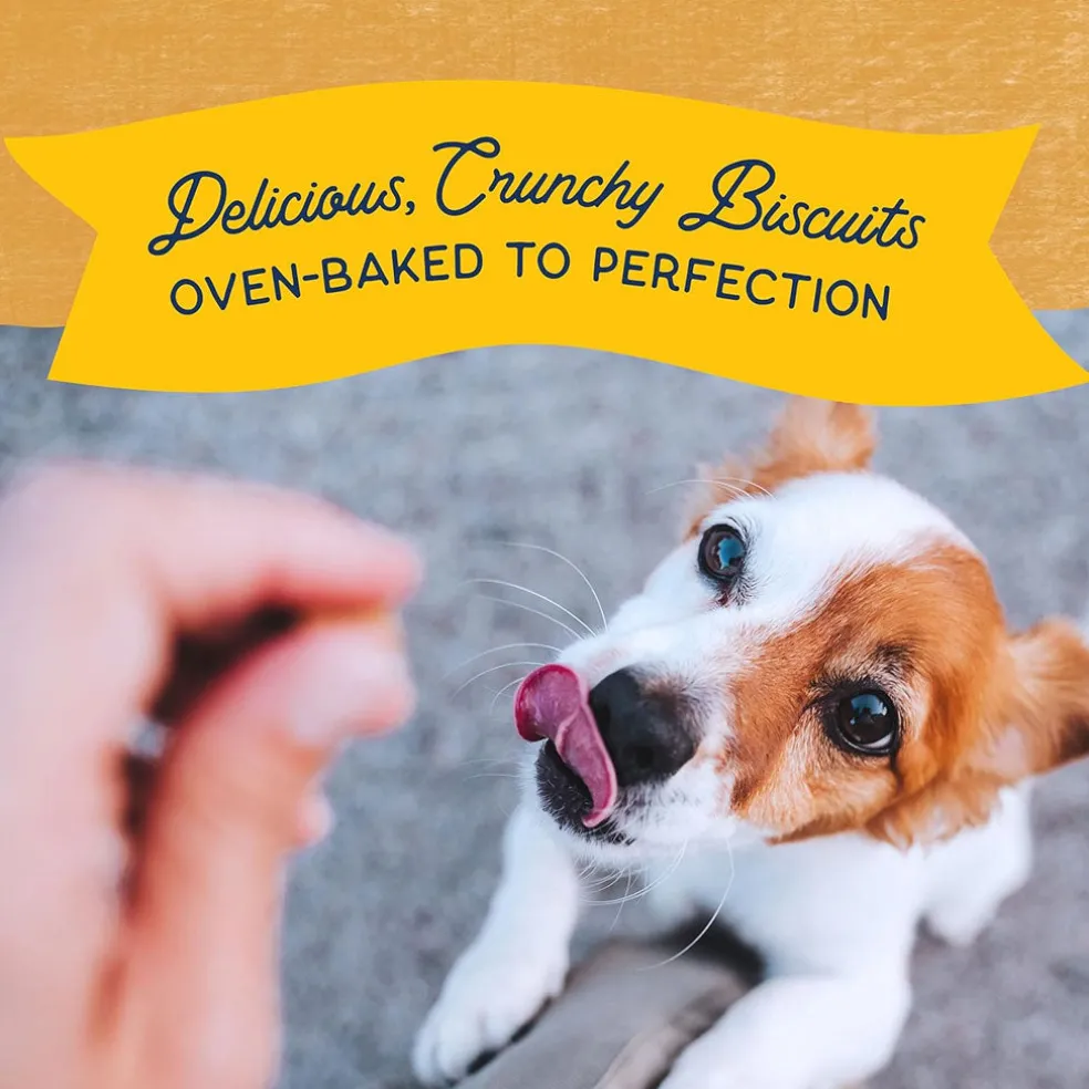Natural Balance Pet Foods Rewards Bite-Size Crunchy Biscuits Small Breed Dog Treats Duck, 8-oz