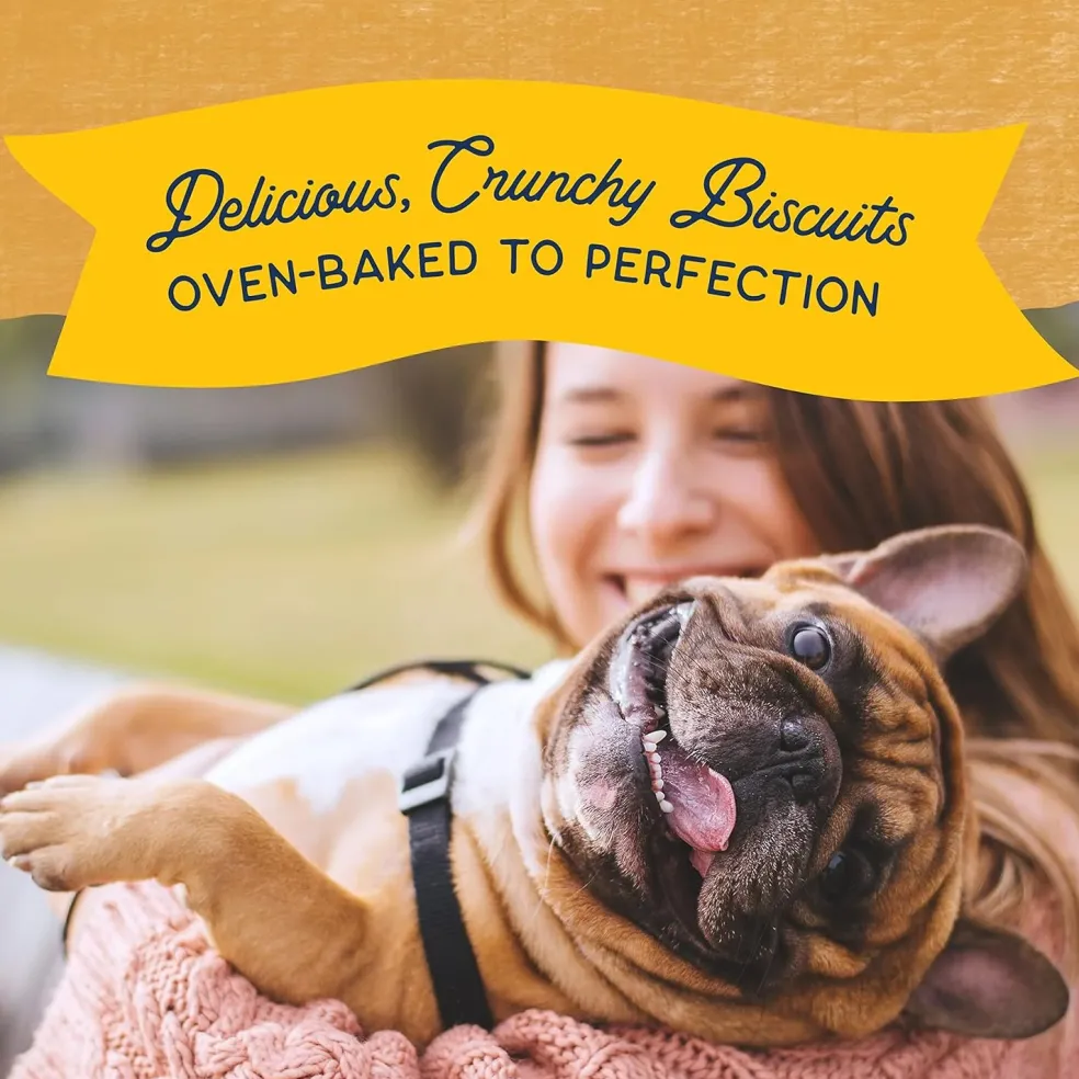 Natural Balance Rewards Crunchy Biscuits with Real Duck Dog Treats