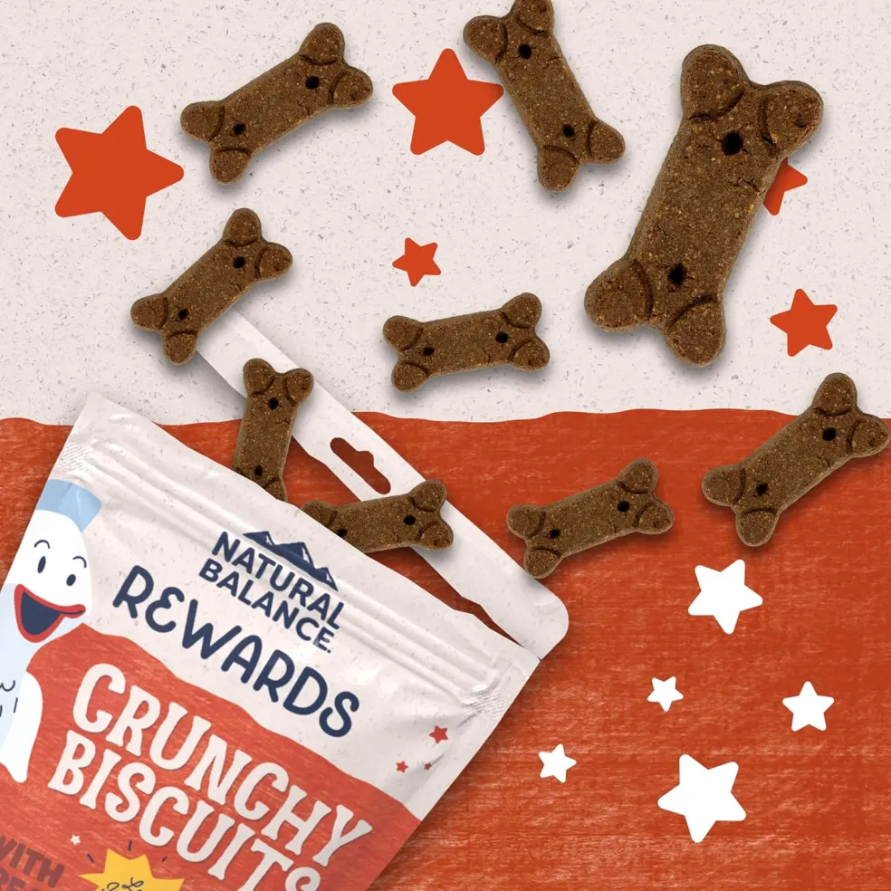Natural Balance Rewards Crunchy Biscuits with Real Salmon Dog Treats