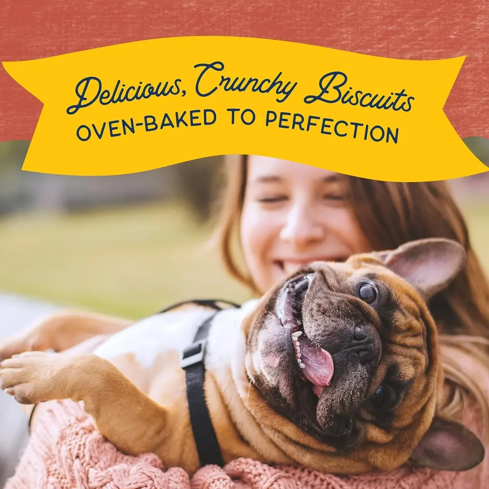 Natural Balance Rewards Crunchy Biscuits with Real Salmon Dog Treats
