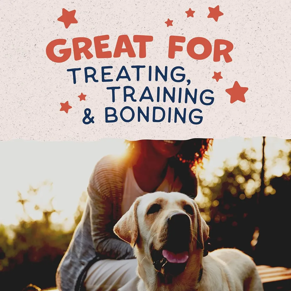Natural Balance Rewards Crunchy Biscuits with Real Salmon Dog Treats
