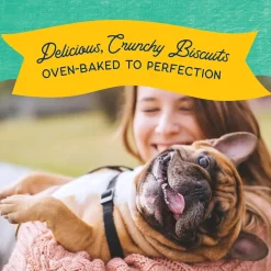 Natural Balance Rewards Crunchy Biscuits with Real Chicken Dog Treats, 14-oz