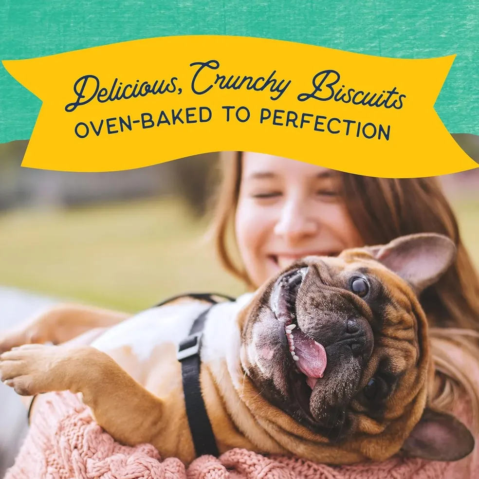 Natural Balance Rewards Crunchy Biscuits with Real Chicken Dog Treats, 14-oz