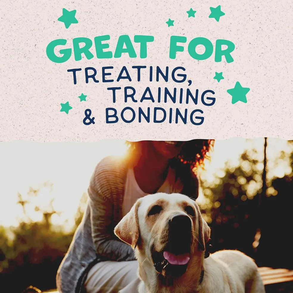Natural Balance Rewards Crunchy Biscuits with Real Chicken Dog Treats, 14-oz