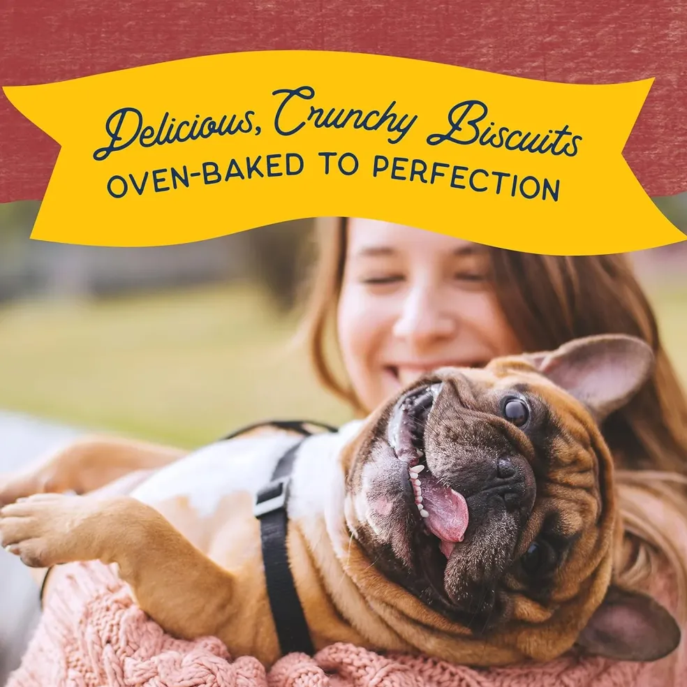 Natural Balance Rewards Crunchy Biscuits with Real Bison Dog Treats