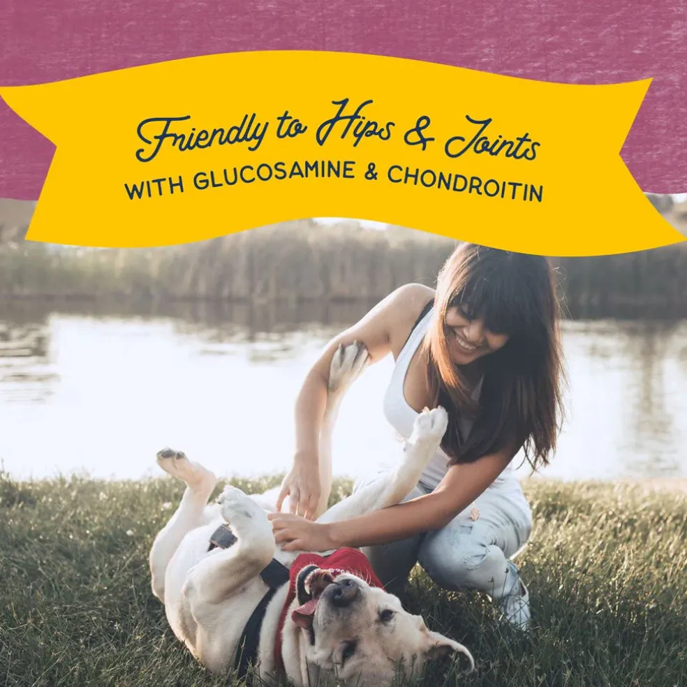 Natural Balance Rewards Jumpin' Stix Soft & Chewy with Real Venison Dog Treats