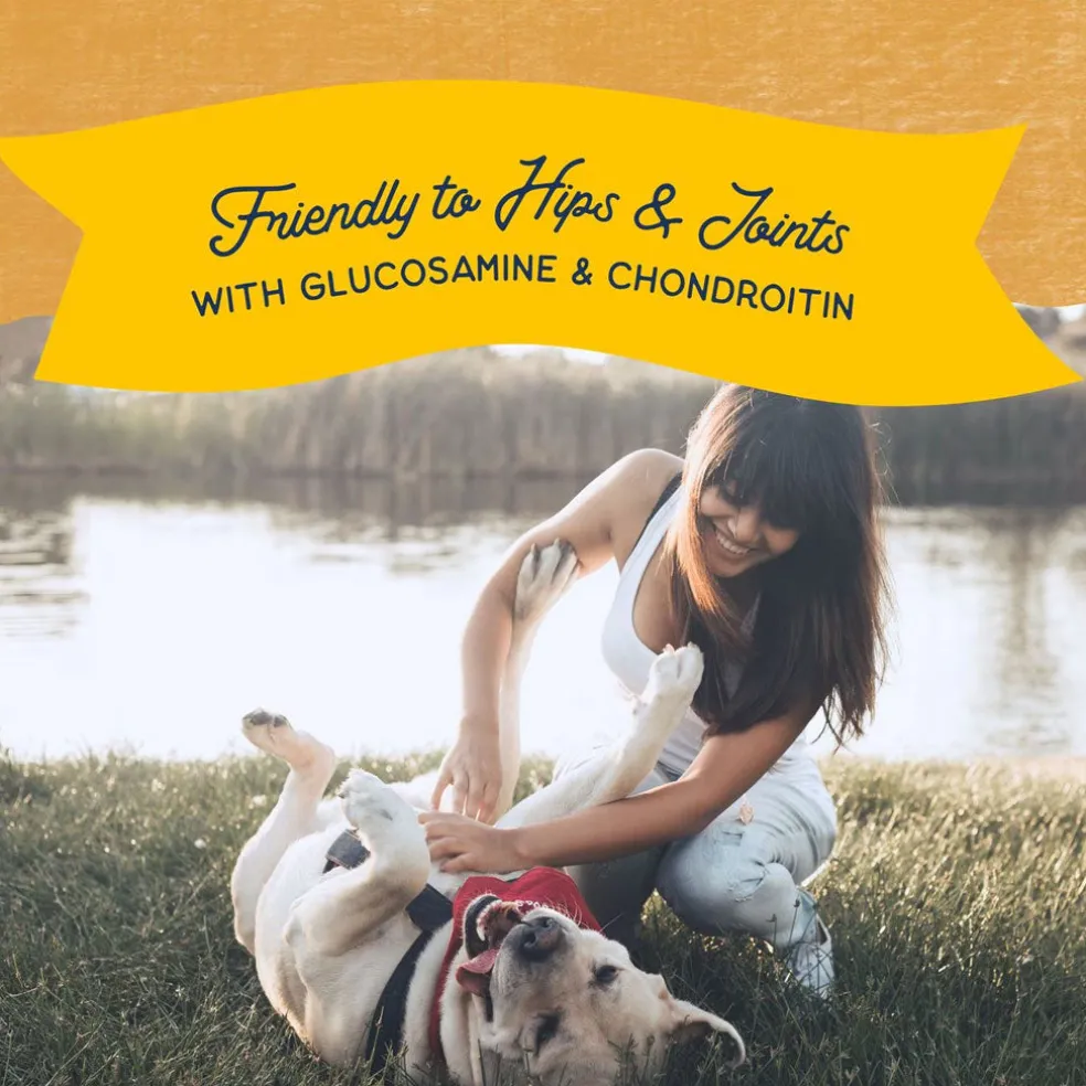 Natural Balance Rewards Jumpin' Stix Soft & Meaty with Real Duck Dog Treats