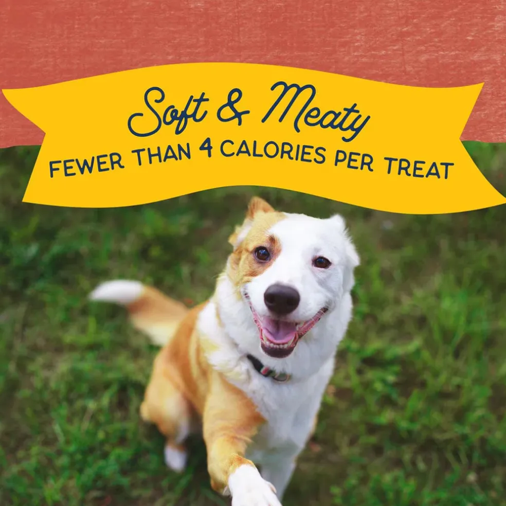 Natural Balance Rewards Minis with Real Salmon Dog Treats, 5.3-oz