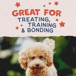 Natural Balance Rewards Minis with Real Salmon Dog Treats, 5.3-oz