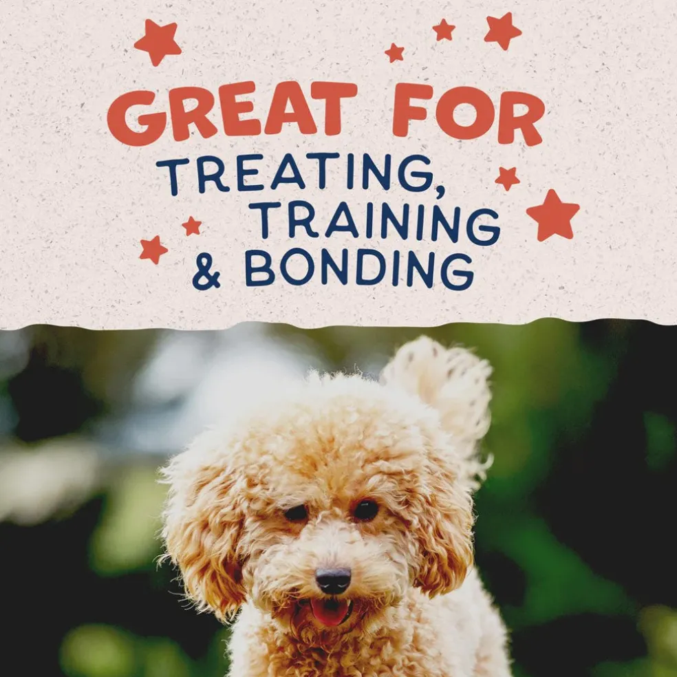 Natural Balance Rewards Minis with Real Salmon Dog Treats, 5.3-oz
