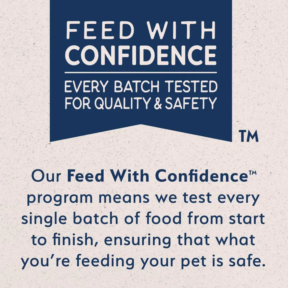 Natural Balance Rewards Minis with Real Salmon Dog Treats, 5.3-oz