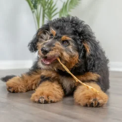 Natural Cravings USA Turkey Tendons Chew for Dogs & Cats, 3-oz
